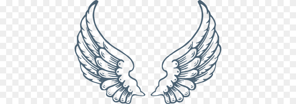Wings Accessories, Earring, Jewelry, Necklace Png