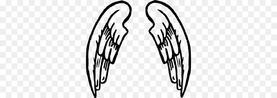 Wings Gray Free Transparent Png