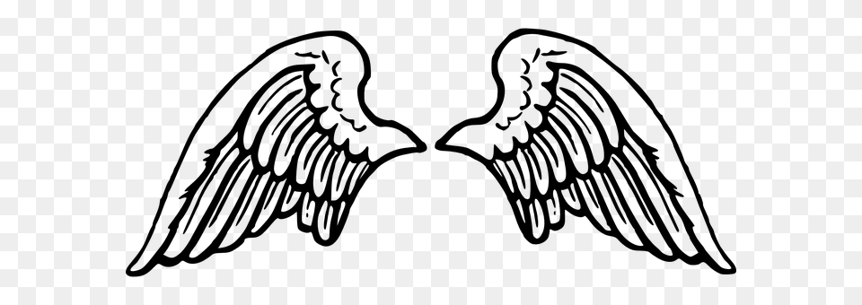 Wings Gray Png Image