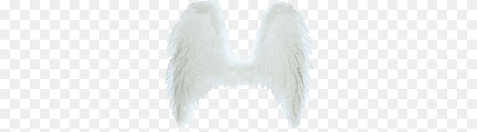 Wings, Angel, Accessories Png