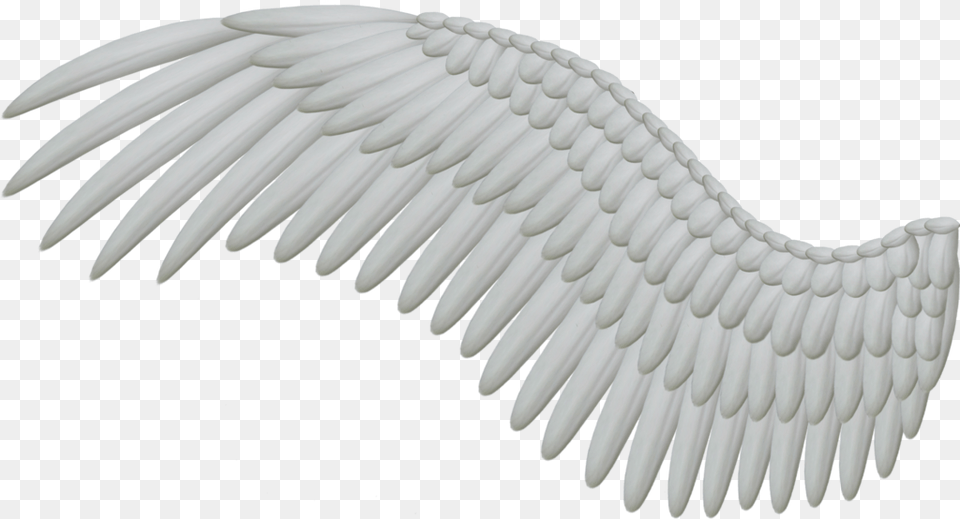 Wings, Animal, Bird, Vulture, Eagle Free Transparent Png