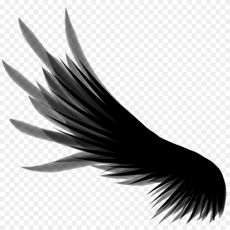 Wings, Silhouette, Animal, Bird, Fish Png