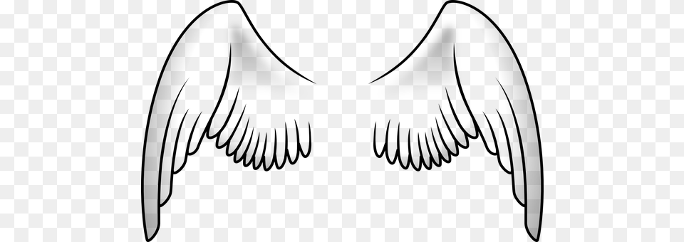 Wings Gray Png