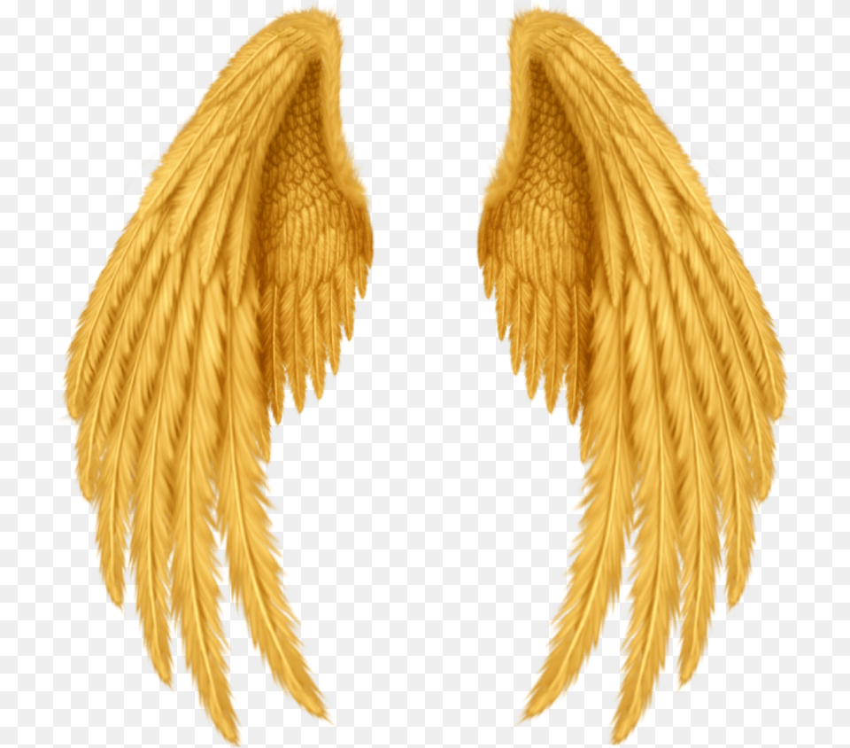 Wings Alas Gold Golden Doradas Oro Gods Dioses Realistic Angel Wings Drawing, Animal, Bird Free Png
