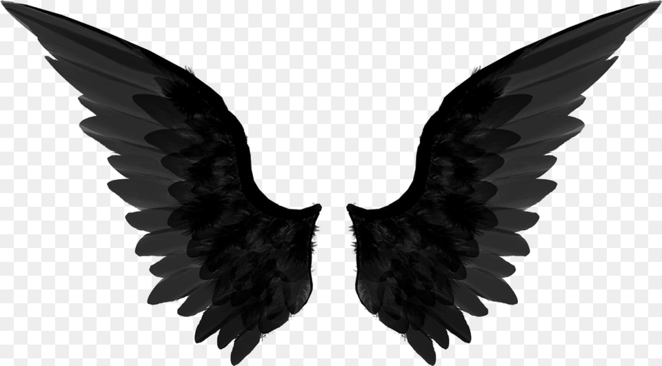 Wings Album On Transparent Background Wings, Silhouette, Animal, Bird Png Image