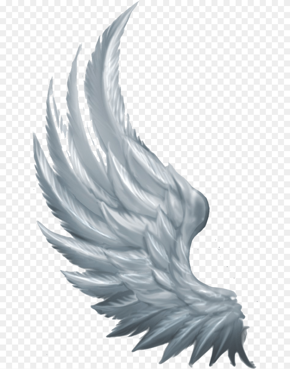 Wings Angel Angel Wings From The Side, Person Png Image