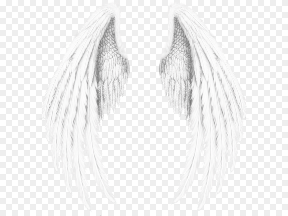 Wings Angel Angels Angelwings Feathers Freetoedit Wings Angel, Animal, Bird Free Png