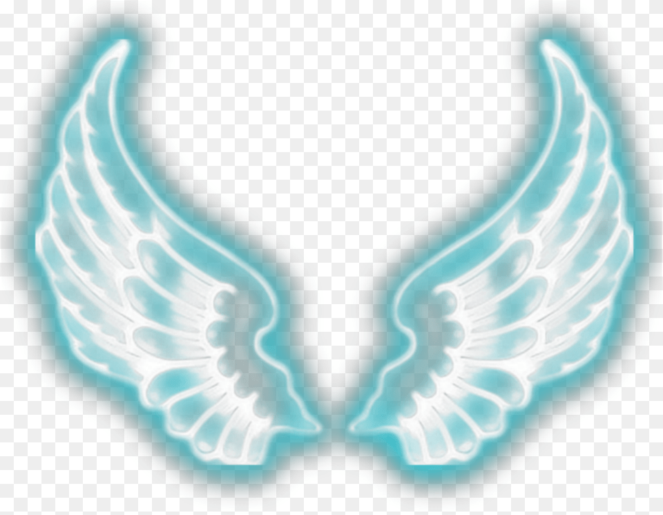 Wings Angel Angelwings Angels Angelsarebeautiful Wings For Photo Editing, Plate, X-ray Free Transparent Png