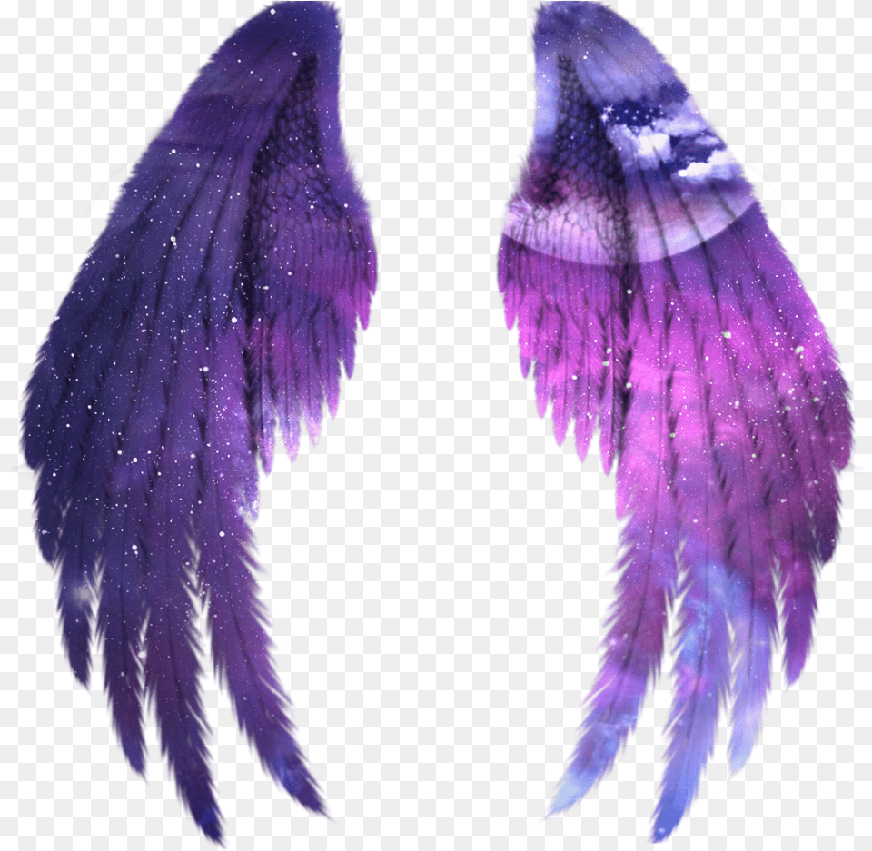 Wings Angel Angelwings Space Galaxy Stars Star Angel Black Wings, Purple, Accessories, Nature, Night Free Transparent Png