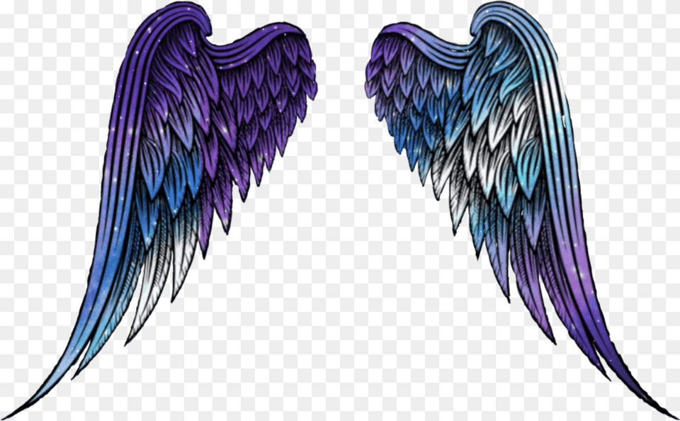 Wings Angel Angelwings Space Galaxy Stars Star Transparent Galaxy Angel Wings, Accessories, Pattern, Fractal, Ornament Free Png Download