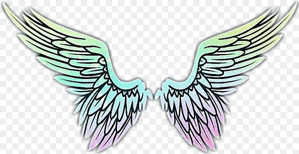 Wings Angel Flgel Engel Engelflgel Schn Beautiful, Emblem, Symbol, Logo, Animal Png