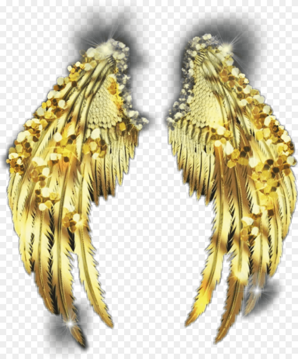 Wings Angel Gold Goldwings Glitter Glittery Glitterwings Earrings, Accessories, Earring, Jewelry, Animal Png Image