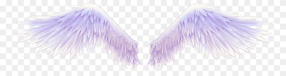 Wings Angel Halo Neon Light Effect Freetoedit Pigeons And Doves, Animal, Bird, Flying Free Png