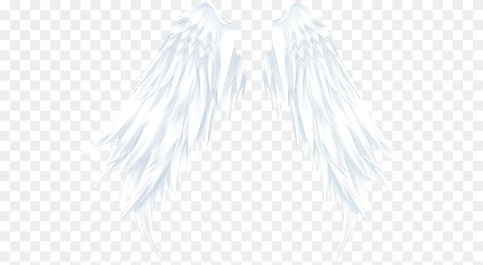 Wings Angelwings Angel Ftestickers Angel, Animal, Bird Png Image