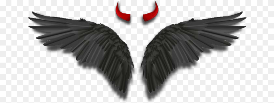 Wings Angelwings Darkangel Devil Horns Black Devil Horns And Wings, Animal, Bird, Vulture, Beak Free Png