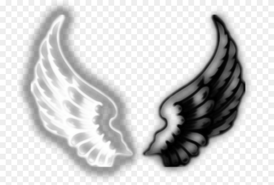 Wings Asthetic Asthetics Angel Devil Demon Wing Angel And Demon Wings Png