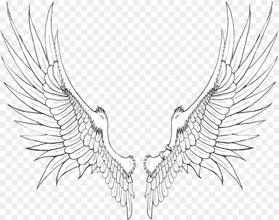 Wings Background Black Wing, Emblem, Symbol, Animal, Bird Png Image