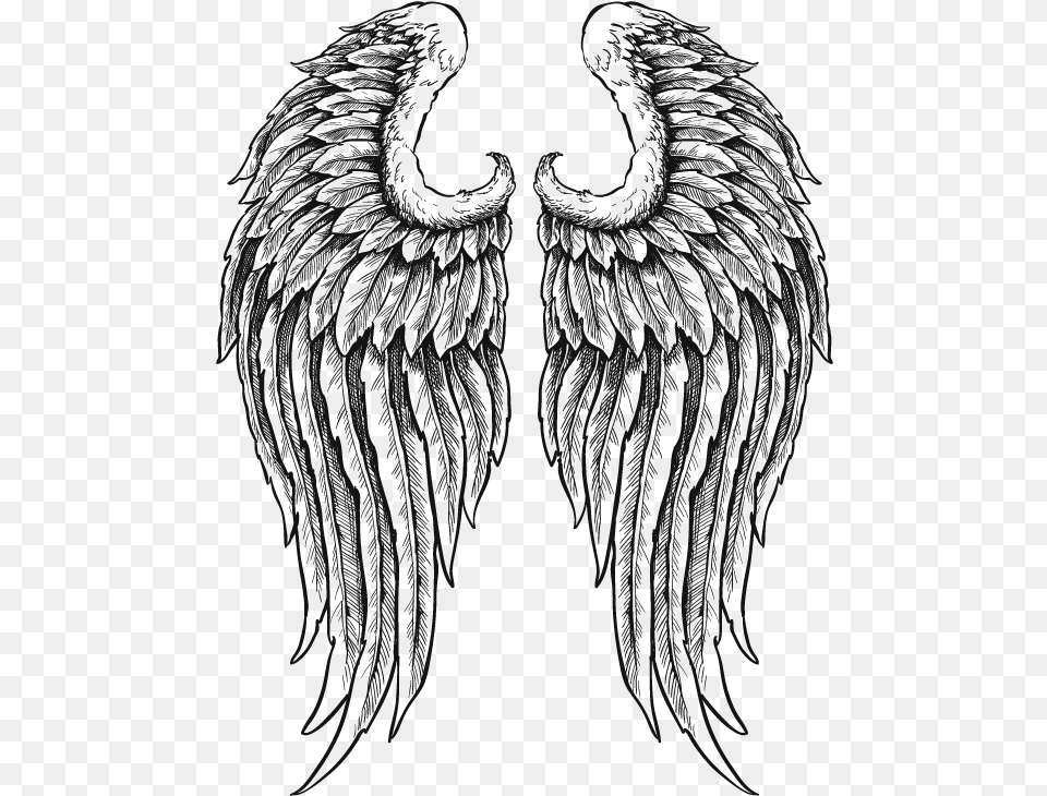 Wings Black And White, Animal, Bird Png