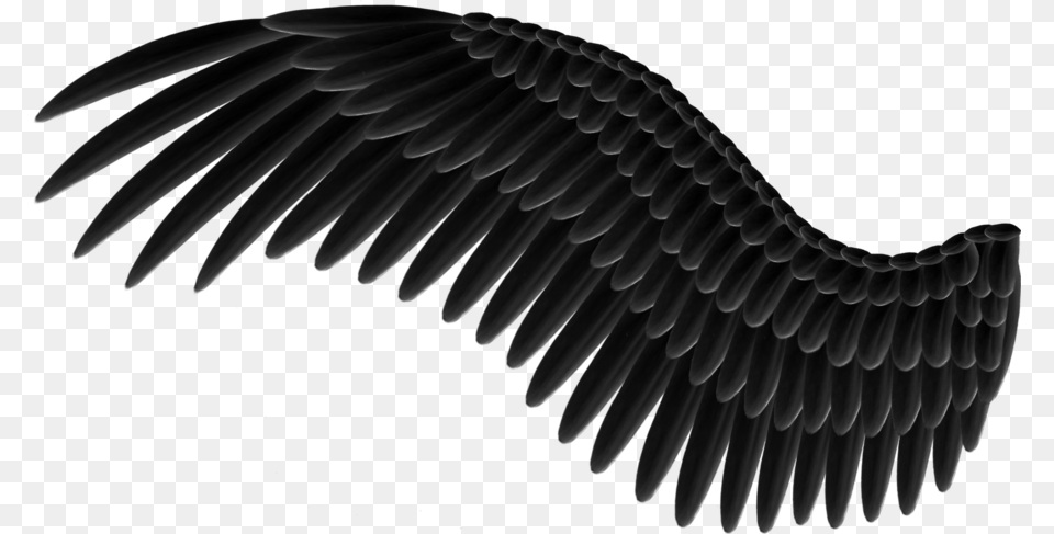 Wings Black Angel Wing, Animal, Bird, Vulture, Eagle Free Png Download