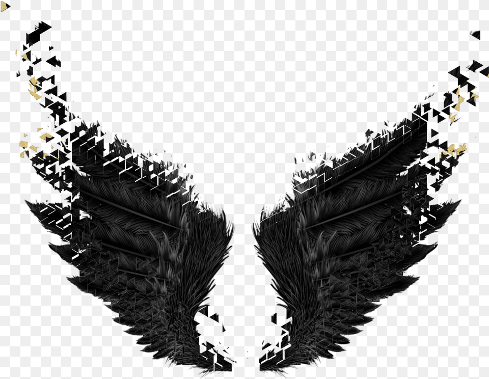 Wings Black Gold Dark Angel Fairytail Dark Angel Wings, Plant Free Png