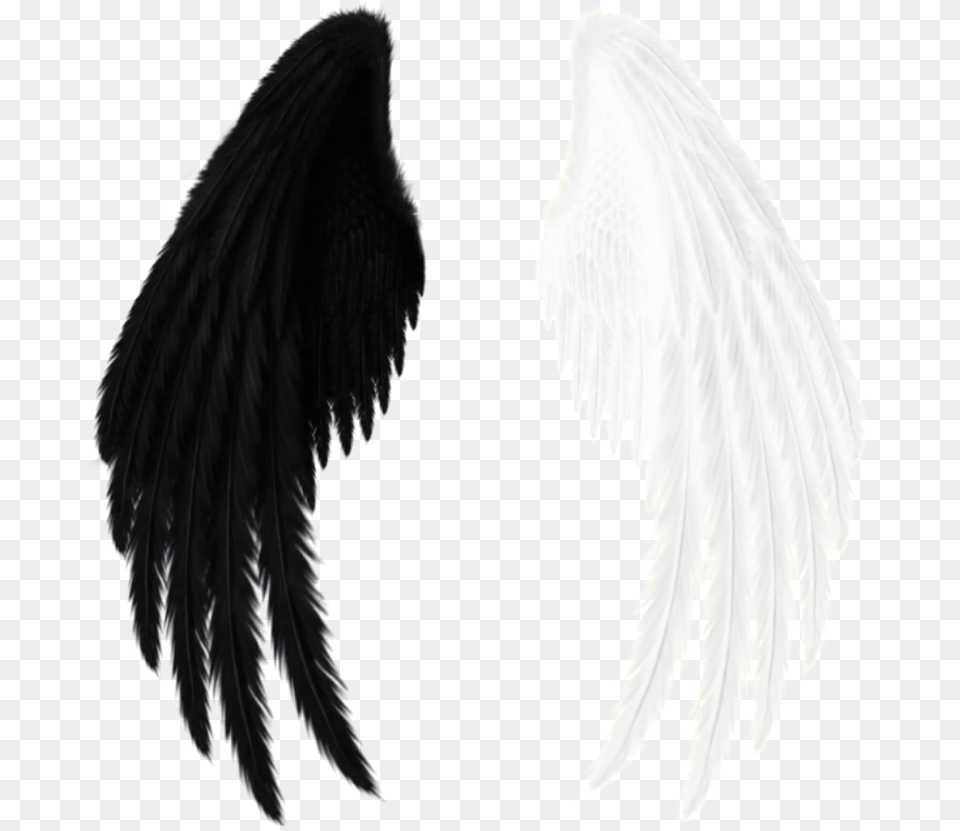 Wings Black White Black And White Red Angel Wings, Wedding Gown, Wedding, Person, Gown Png