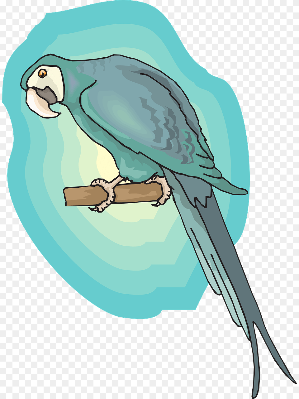 Wings Blue Bird Background Picpng Image Macaw, Animal, Parakeet, Parrot, Person Png