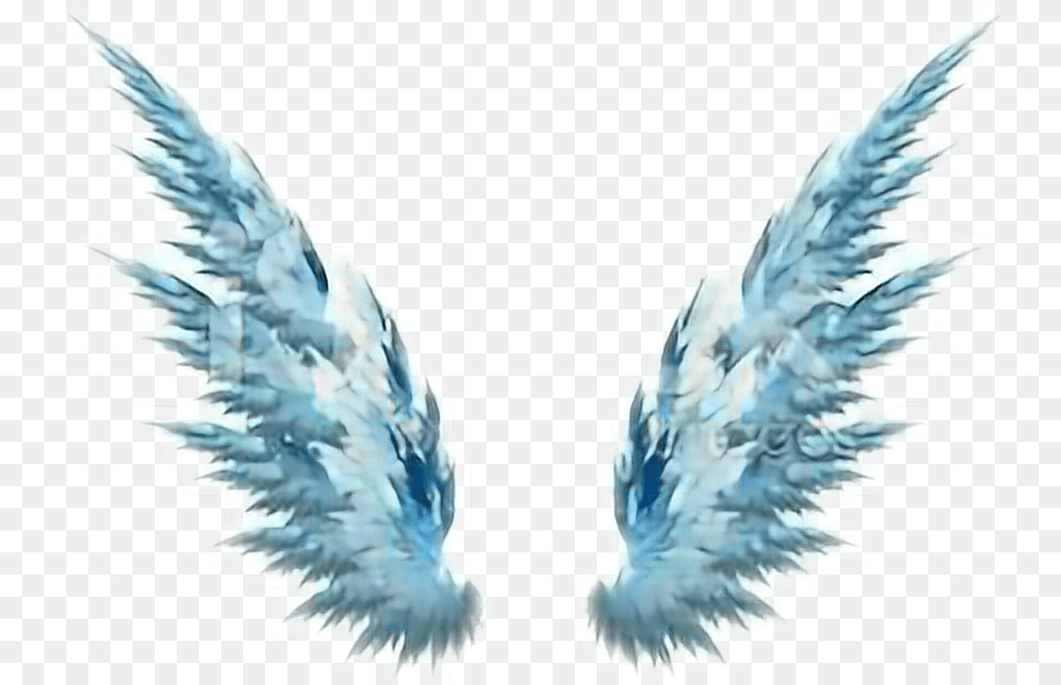 Wings Brasilian Freetoedit Report De Asas Tumblr, Angel, Animal, Bird, Ice Free Transparent Png