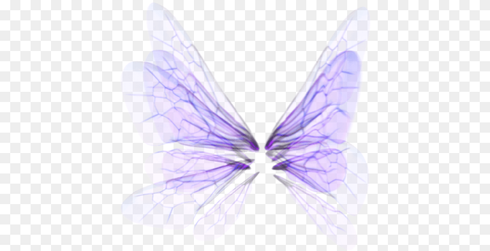 Wings Butterfly, Animal, Bee, Insect, Invertebrate Free Png
