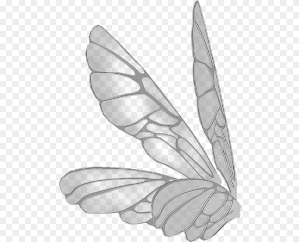 Wings Butterflywings Butterfly Fairy Fairywings Pink Realistic Fairy Wings, Animal, Bee, Insect, Invertebrate Free Png Download