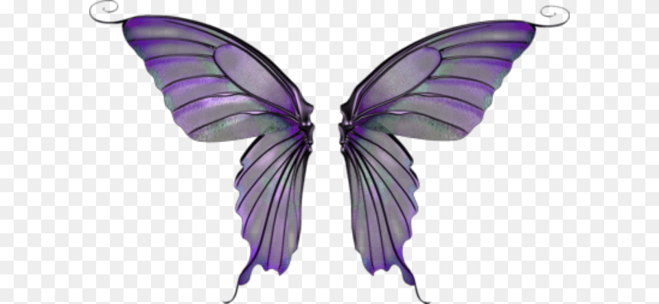 Wings Butterflywings Fairywings Faerywings Costume Purple Fairy Wings Transparent, Person, Accessories, Animal, Butterfly Free Png
