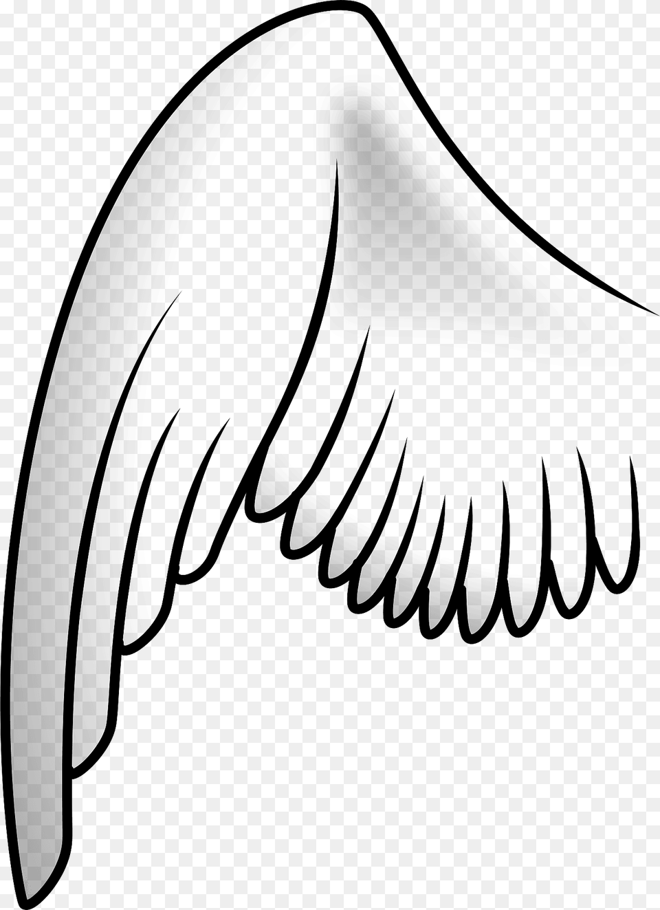 Wings Clipart, Animal, Beak, Bird, Bow Free Transparent Png