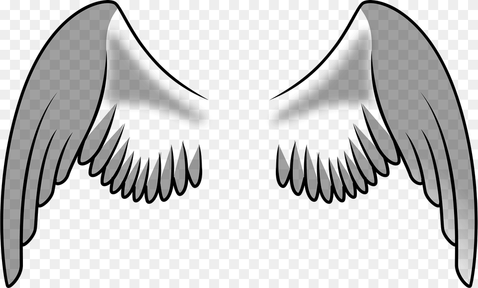 Wings Clipart, Animal, Beak, Bird, Vulture Png