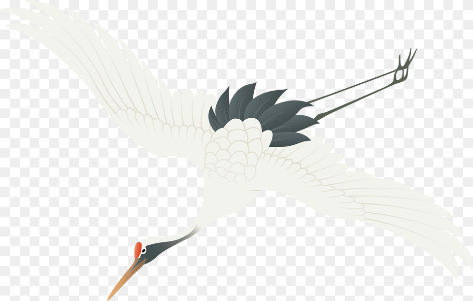 Wings Clipart, Animal, Bird, Crane Bird, Stork Free Transparent Png