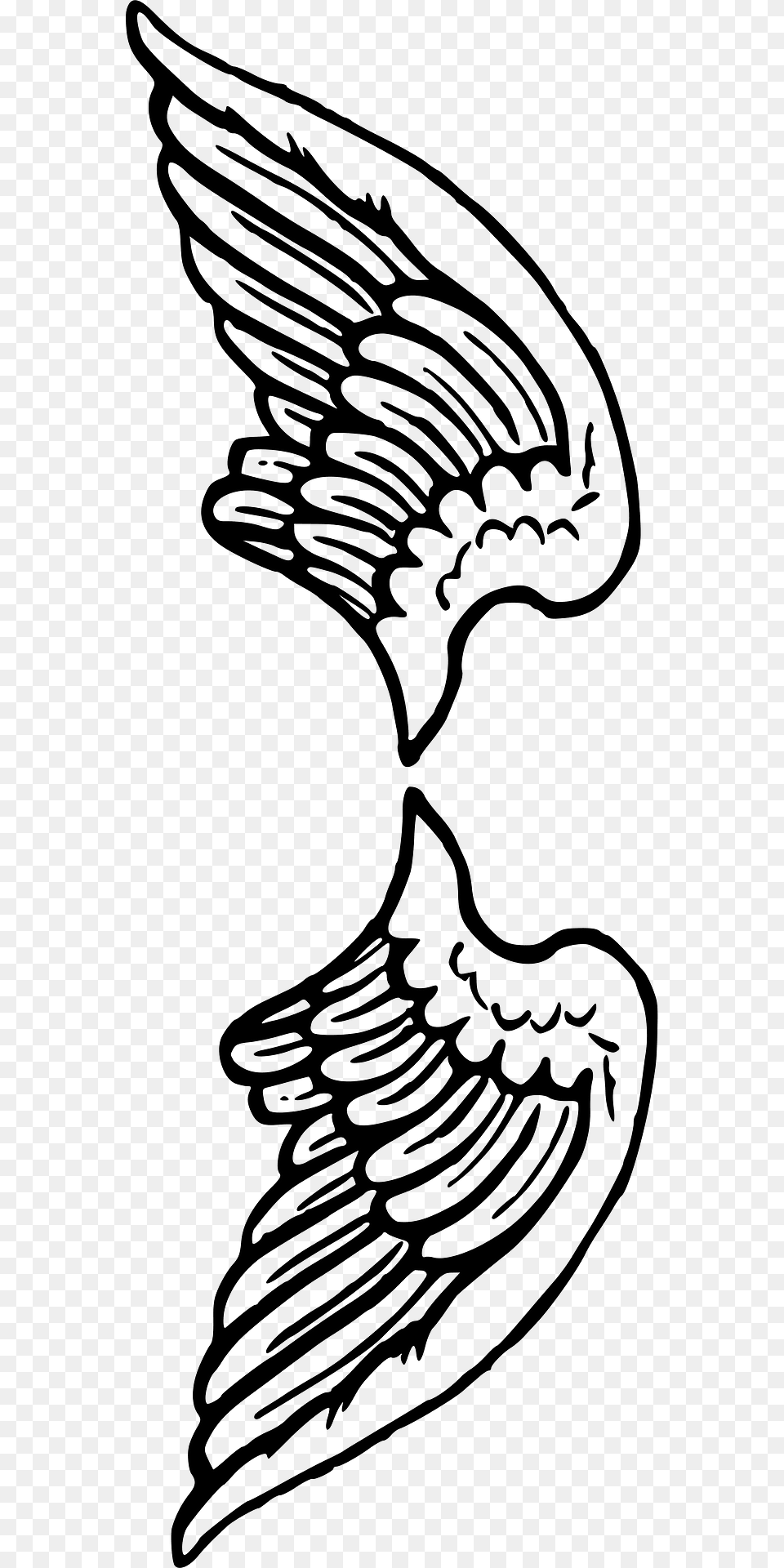 Wings Clipart, Animal, Bird, Vulture Free Png