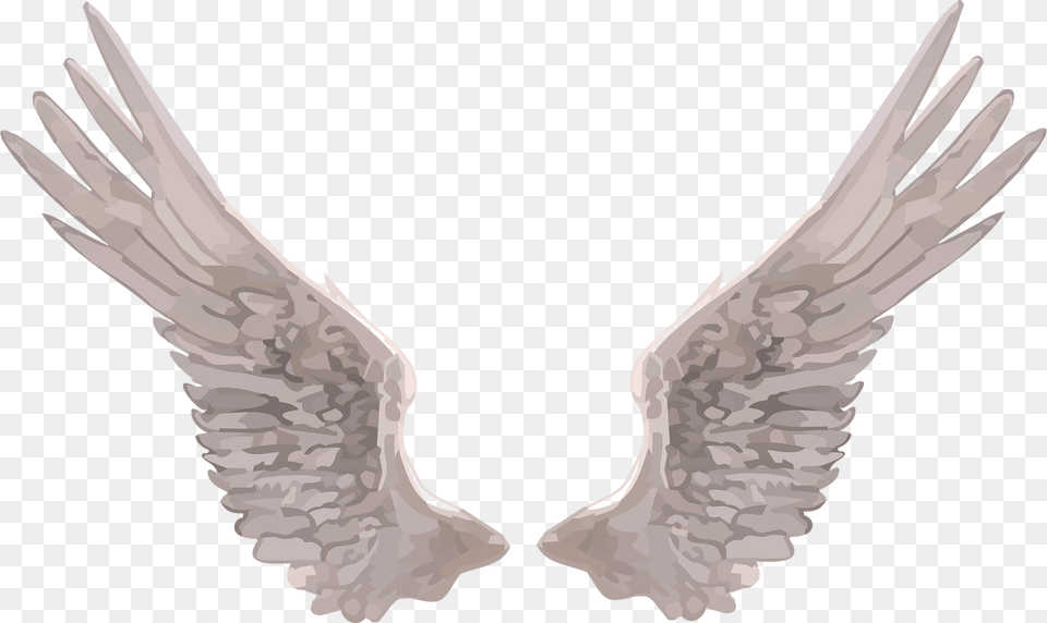 Wings Clipart, Animal, Bird, Flying Png