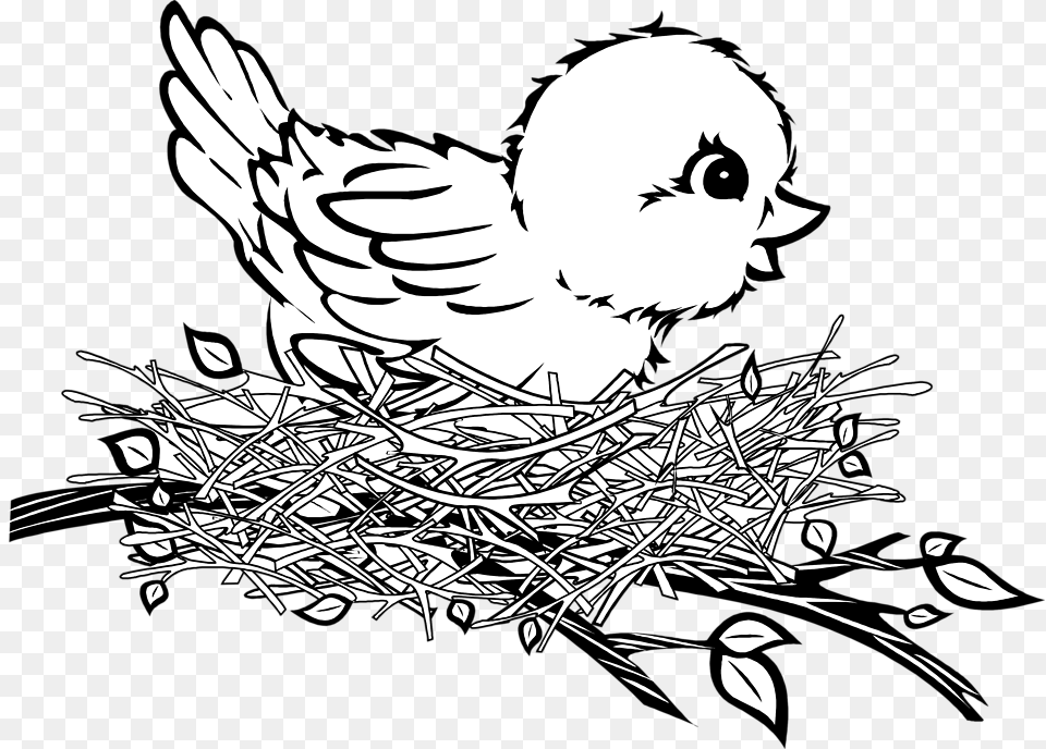 Wings Clipart Bird, Baby, Person, Nest, Head Free Png