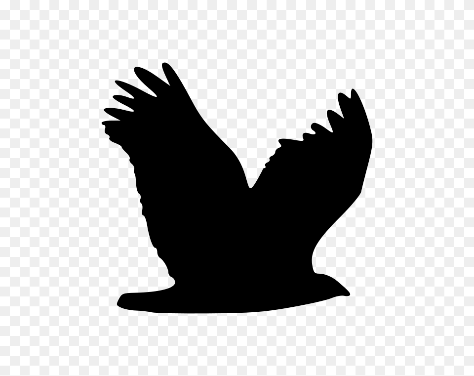 Wings Clipart Hawk, Gray Free Png Download