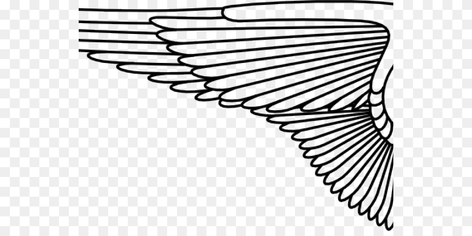 Wings Clipart Line Art, Animal, Bird, Flying Png