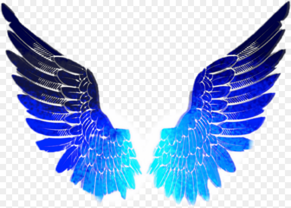 Wings Dollify Unicorn, Animal, Bird Free Png