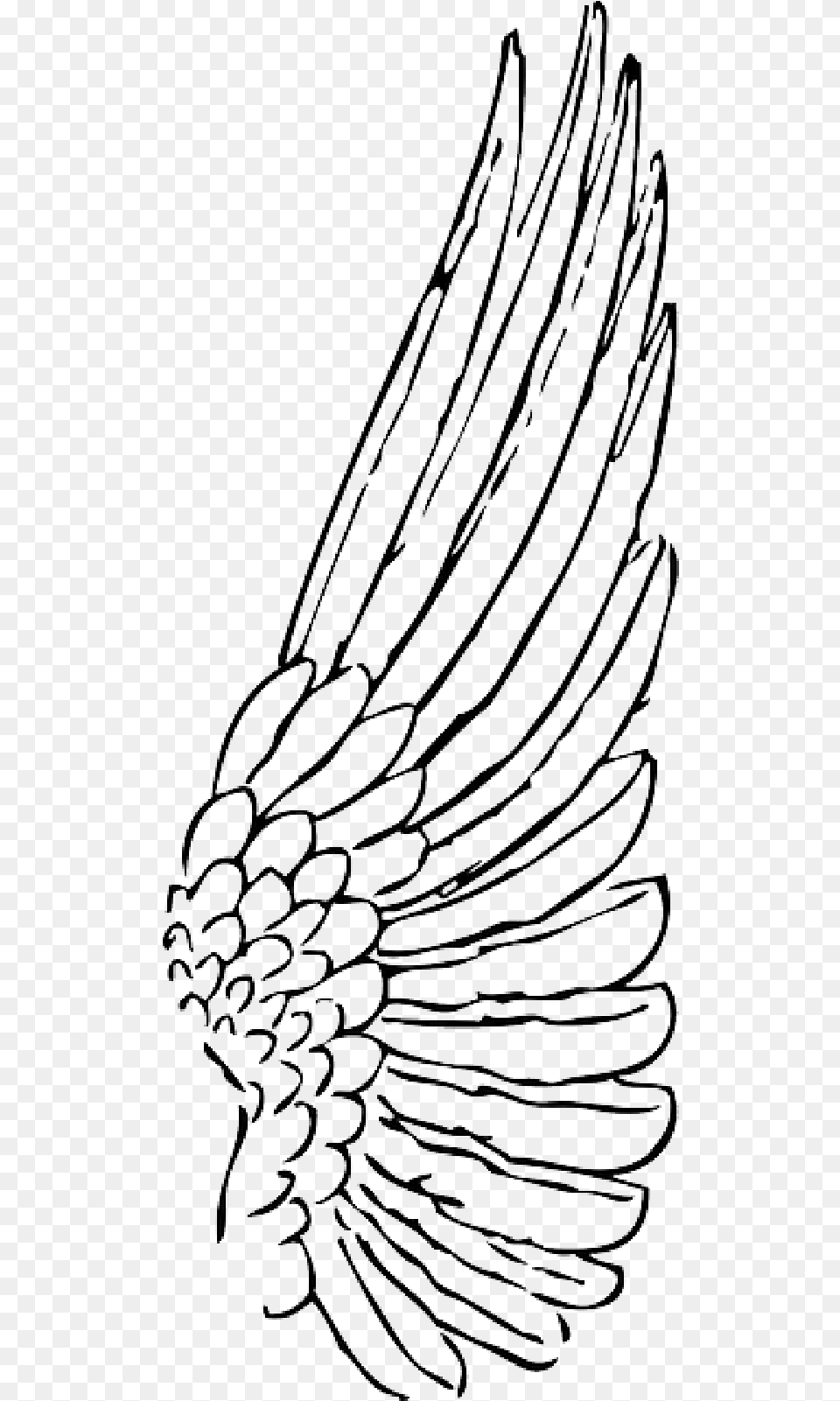 Wings Drawing At Getdrawings Wings Drawing Side View, Art Png