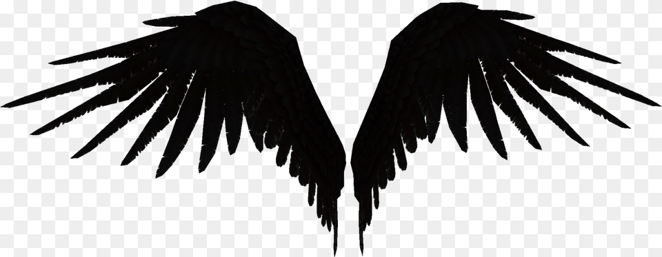 Wings Fallen Angel Blackwearit Parrot, Animal, Bird, Blade, Dagger Png