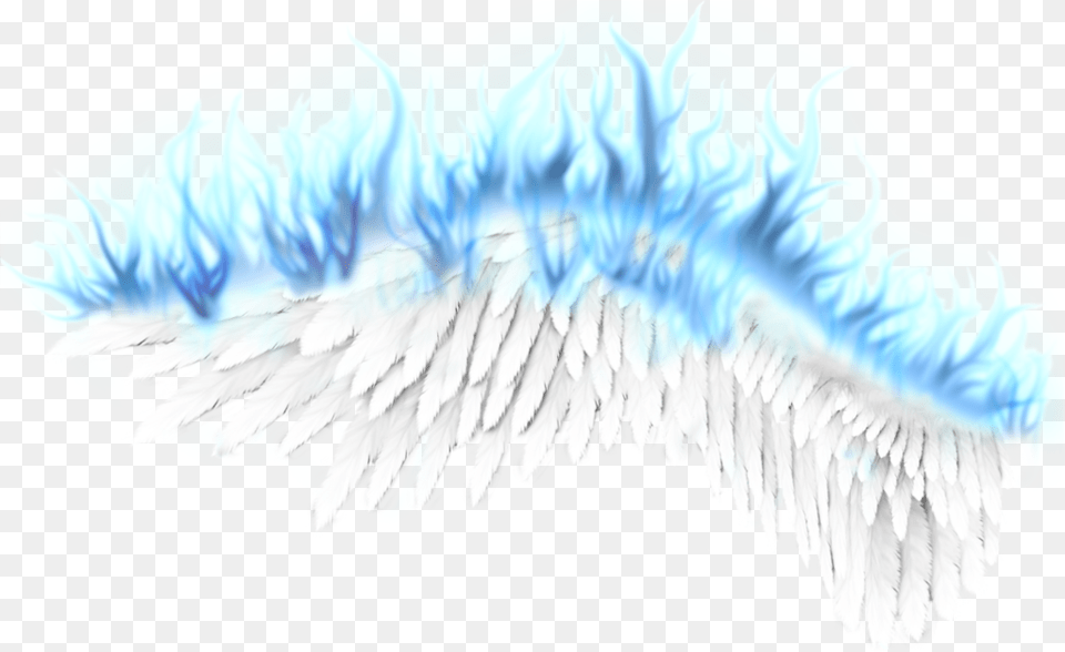 Wings Fire Blue White Angel Saint Fairy Blue Fire Wings, Ice, Animal, Bird, Nature Free Transparent Png