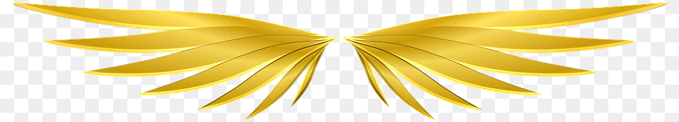 Wings Gold Mythological Fantasy Gold, Accessories Png