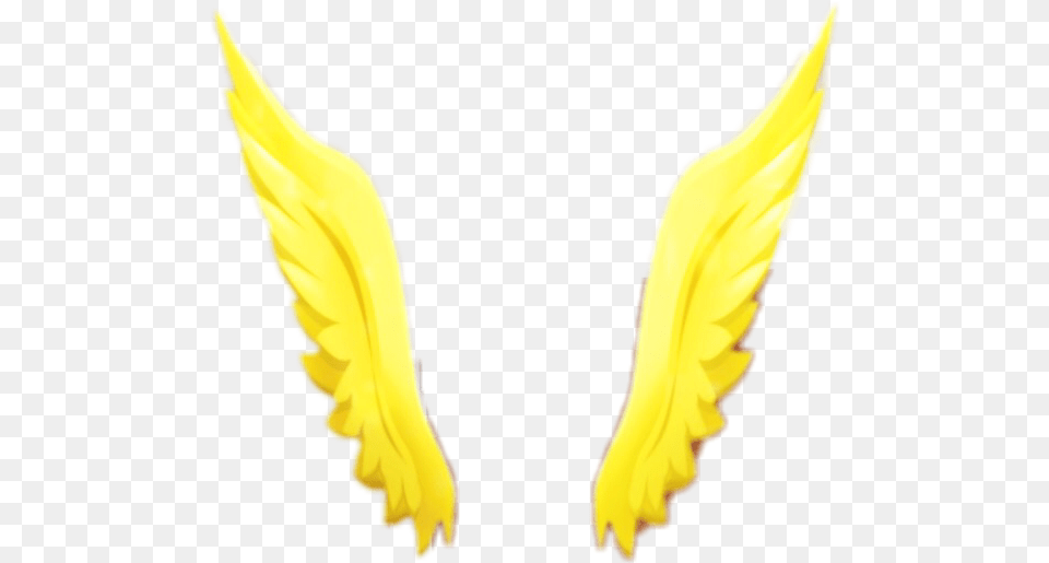 Wings Gold Snapchat Filter Angel Lense, Flower, Petal, Plant, Daffodil Free Png