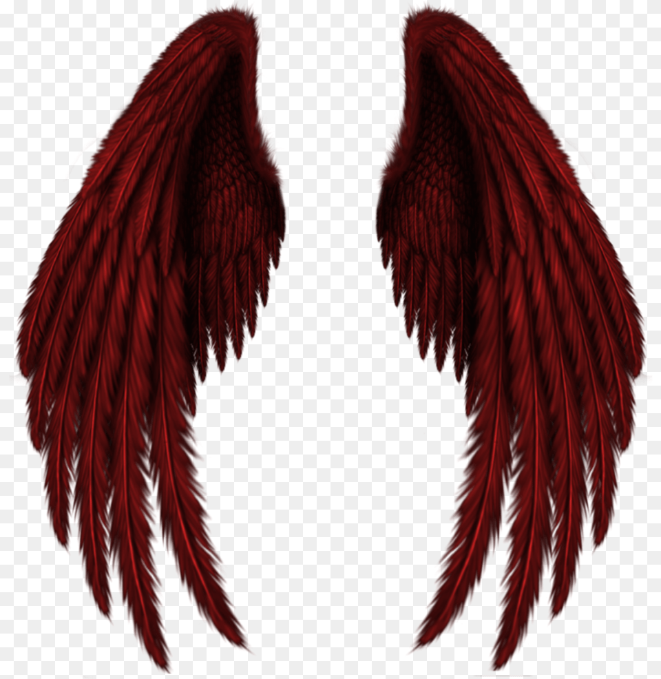 Wings Image Black Angel Wings, Animal, Bird, Accessories Png