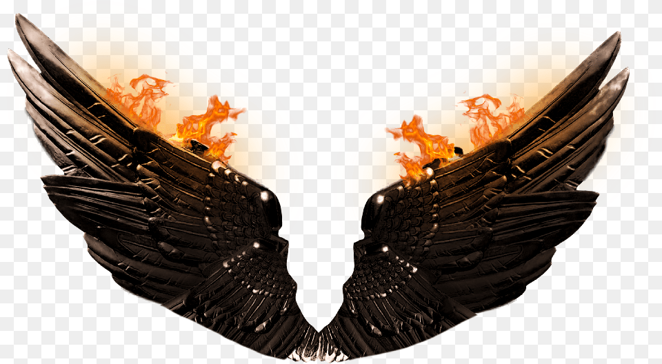 Wings Images Download Devil Wings For Editing, Animal, Bird, Vulture, Accessories Free Transparent Png