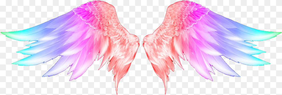 Wings Konfest, Accessories, Angel, Animal, Bird Free Transparent Png
