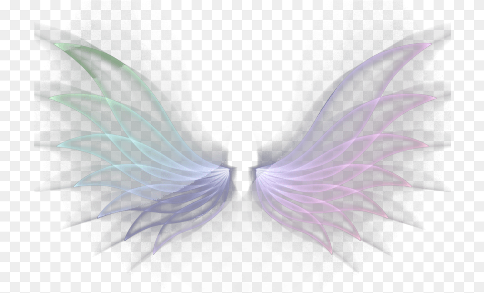Wings Neon Wing Angelwings Angels Angel White Fairy, Accessories, Fractal, Ornament, Pattern Free Png Download