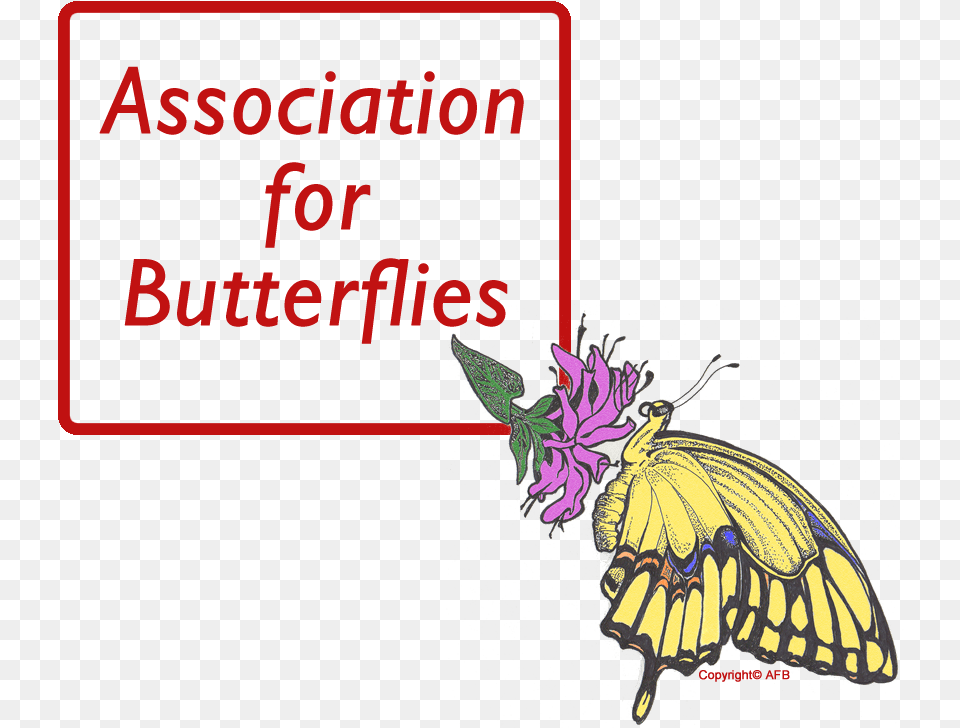Wings Of Enchantment Adheres To Strict Guidelines For Association For Butterflies, Purple, Animal, Butterfly, Insect Png Image