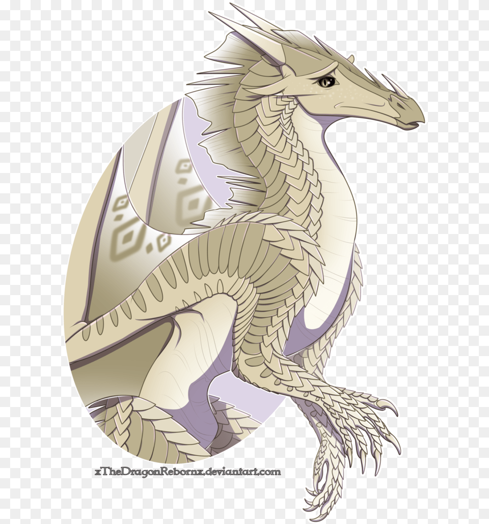 Wings Of Fire Jerboa, Dragon, Person Free Png Download